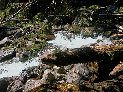 gorge below Union Creek Falls, Yakima County, Washington
