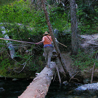 Laurel Ramseyer crosses log over creek, Union Creek Falls area, Yakima County, Washington