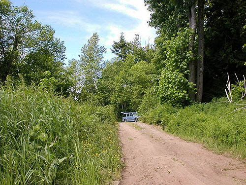 road into clearcut meadow habitat, Van Wyck Park site, King Mountain, Whatcom County, Washington