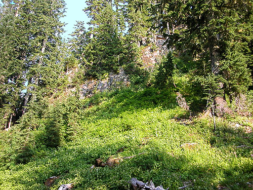 sun on vegetation at top of talus, Watson Lakes Pass, south central Whatcom County, Washington