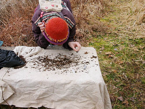 Audrey Zehren helps sift leaf litter, Whitehorse Trail west of Oso, Snohomish County, Washington