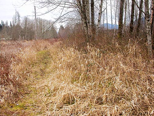 Whitehorse Trail west of Oso, Snohomish County, Washington