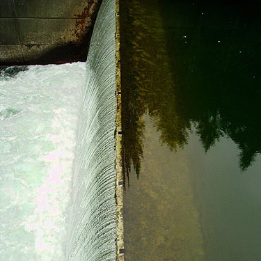 spillway of Wynoochee River Fish Collection Facility, Grays Harbor County, Washington
