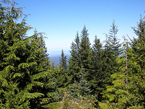 view from summit of Mount Zion, Clallam County, Washington