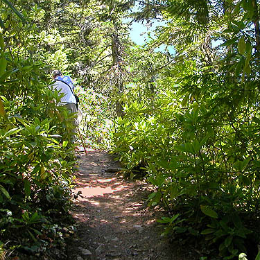 Laurel Ramseyer on trail to Mount Zion, Clallam County, Washington